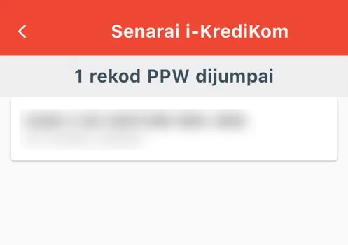 i-KrediKom search results showing one record found